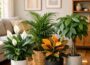Air-Purifying Indoor Plants